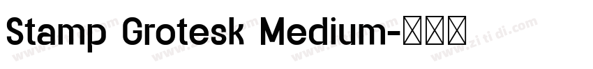 Stamp Grotesk Medium字体转换